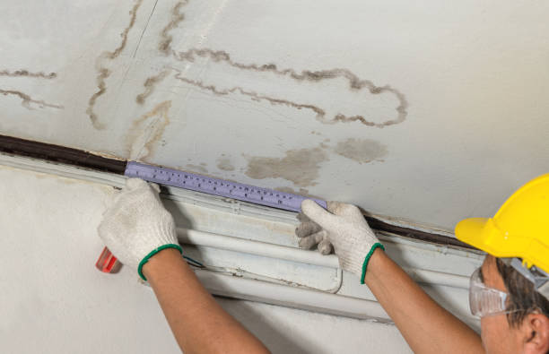 Affordable Ceiling Water Damage Repair solutions in Paden City, WV